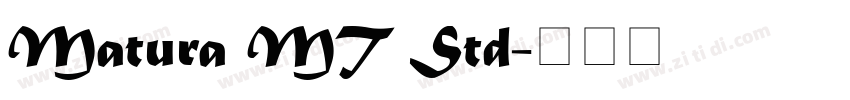 Matura MT Std字体转换